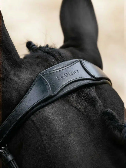 LeMieux black anatomic split noseband horse bridle on dark horse head