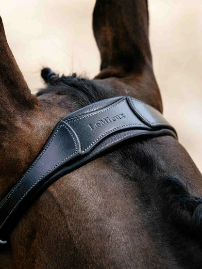 Close-up of a horse wearing a black LeMieux anatomic drop bridle with silver detailing.