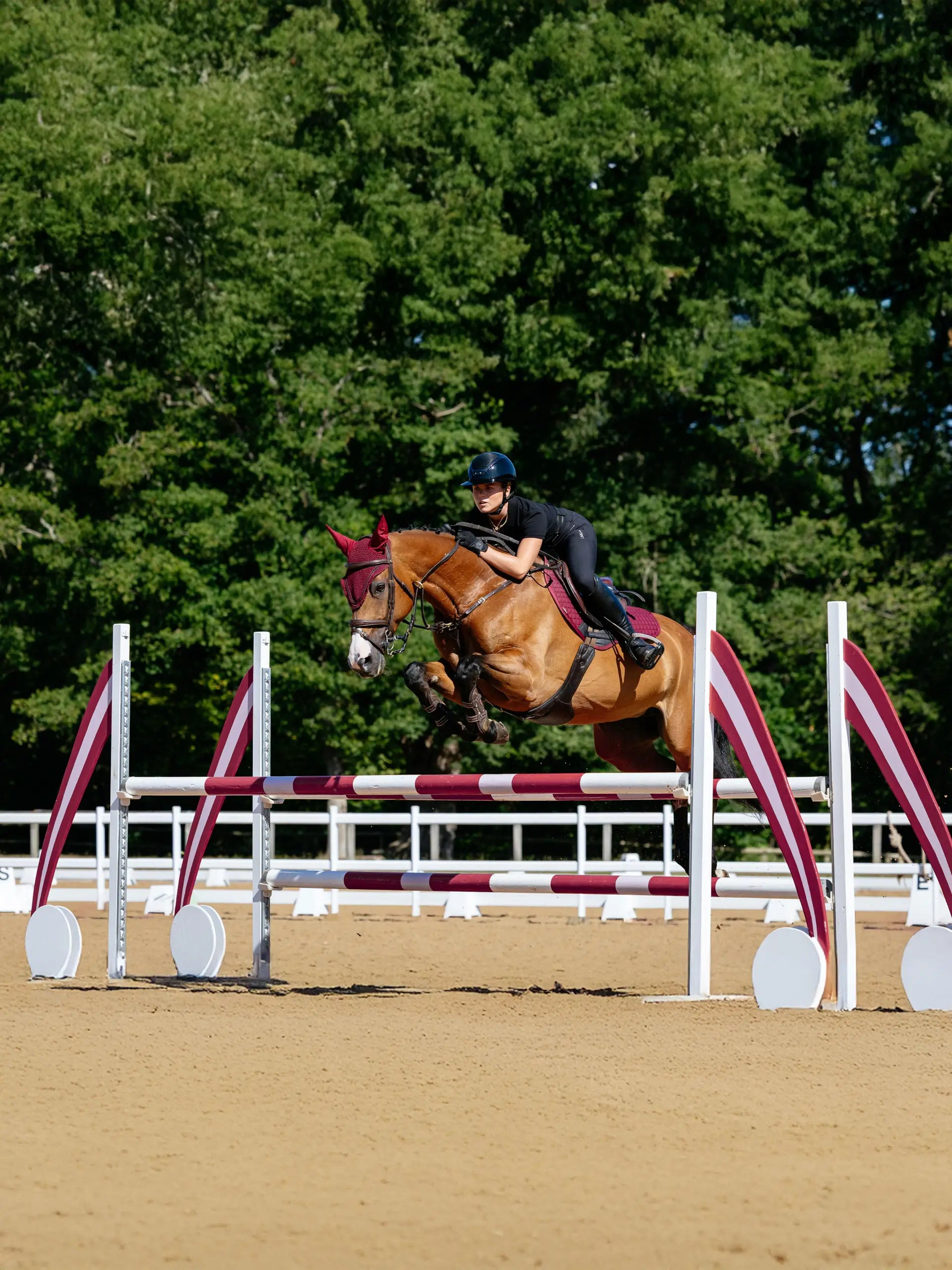 Horse jumping obstacle with LeMieux Cotton Close Contact Square burgundy pad from Equiflair, rider in black. Equestrian sports.