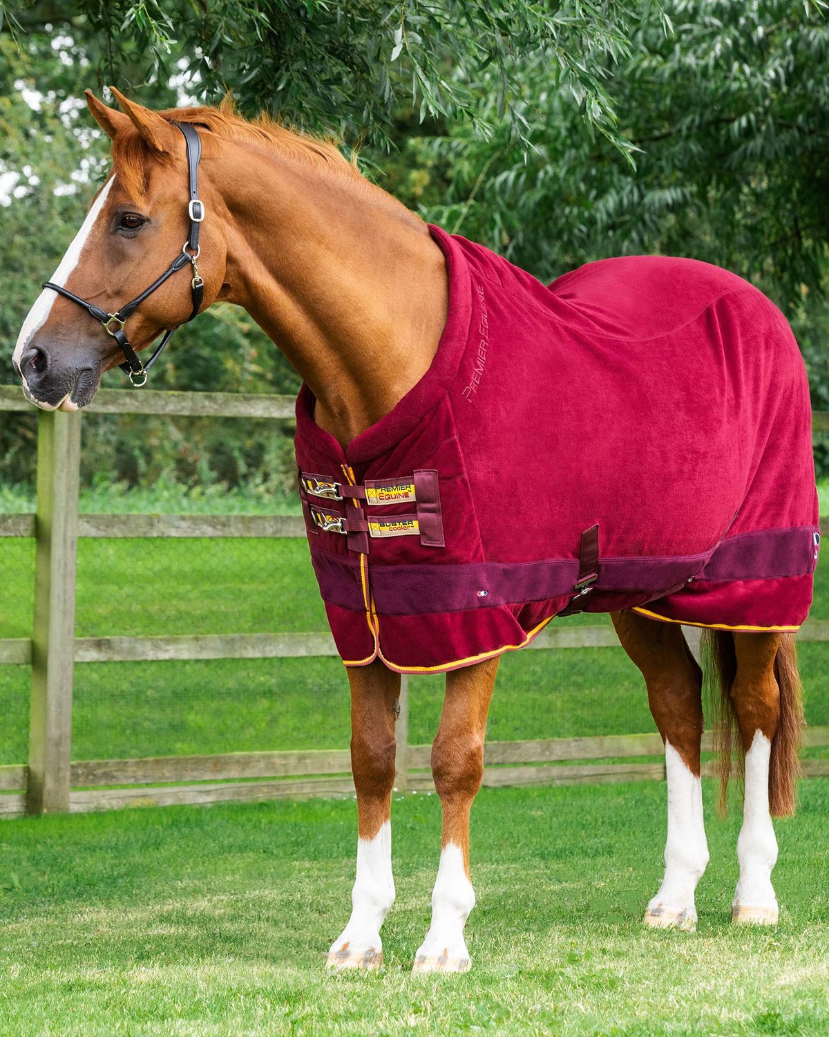 Chestnut Horse Premier Equine Burgundy Fleece Cooler Rug | Equiflair