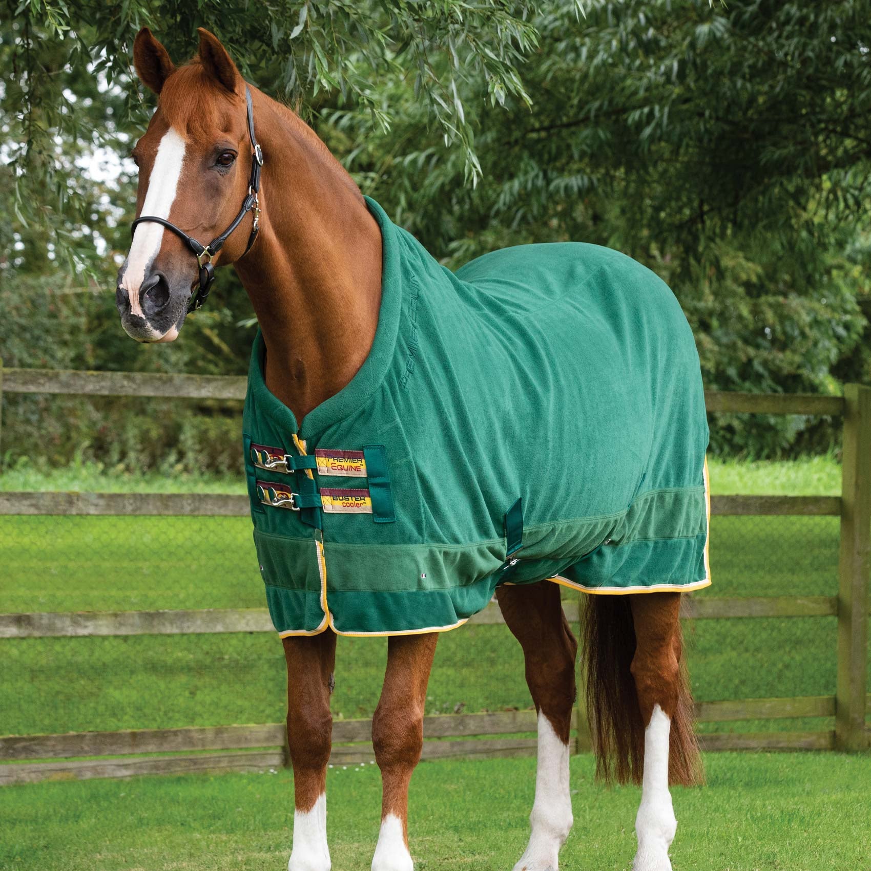 Premier Equine Buster Fleece Cooler Rug - Continental Edition Green. Horse cooler rug, fleece rug, horse blanket, breathable, Premier Equine.
