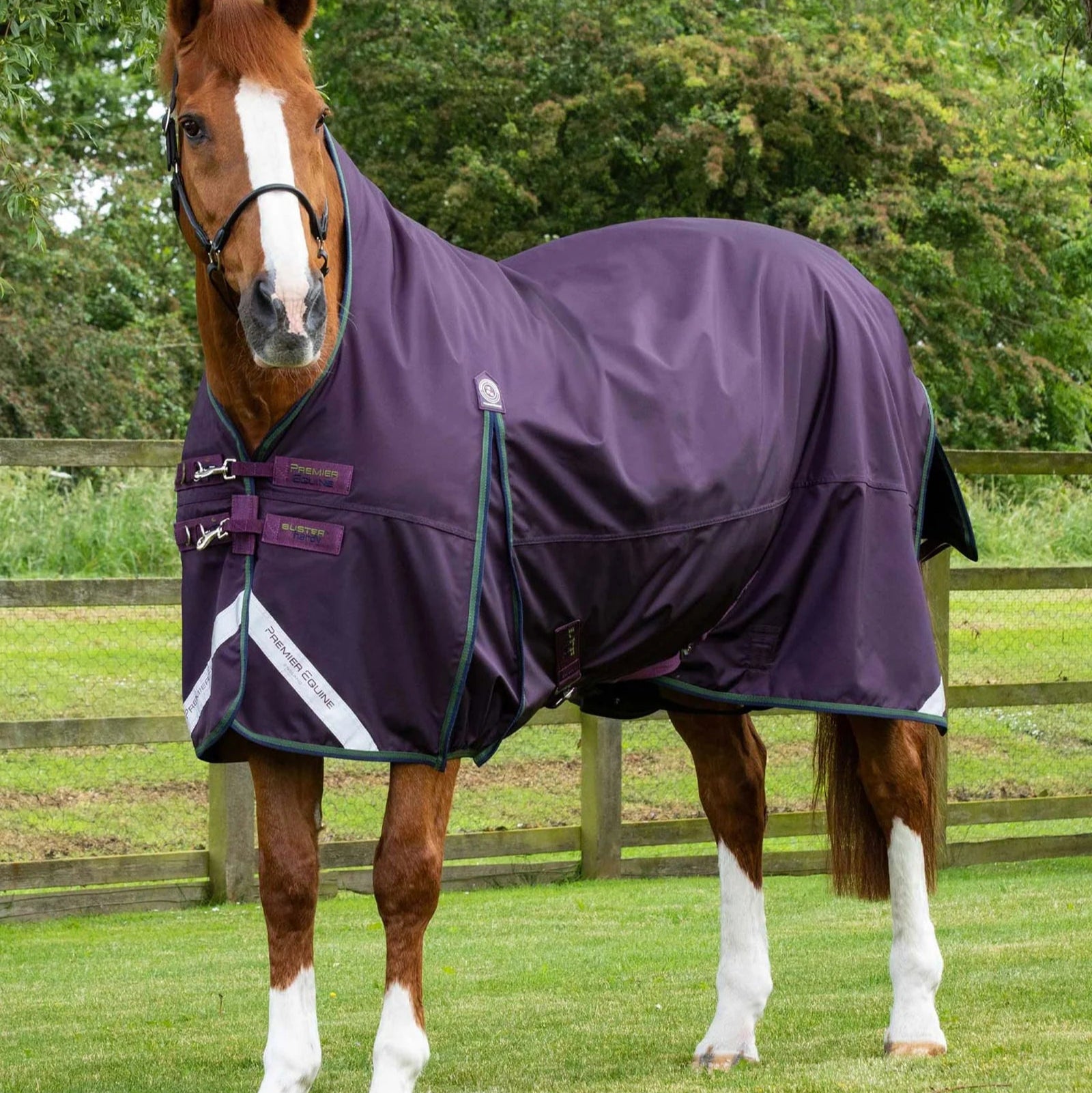 Premier Equine Buster Hardy 100g Half Neck Turnout Rug Purple