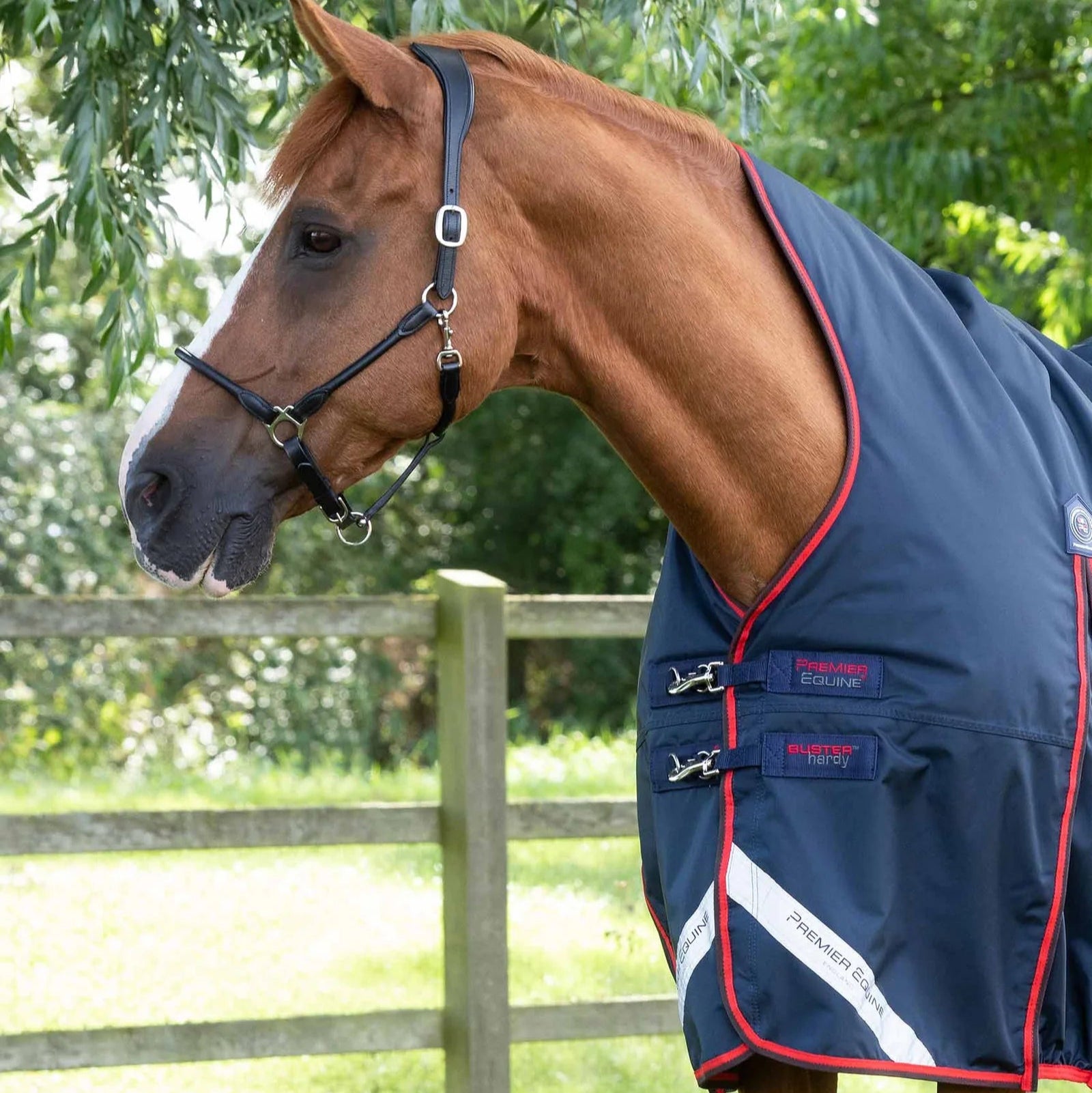 Premier Equine Buster Hardy 200g Half Neck Turnout Rug Navy