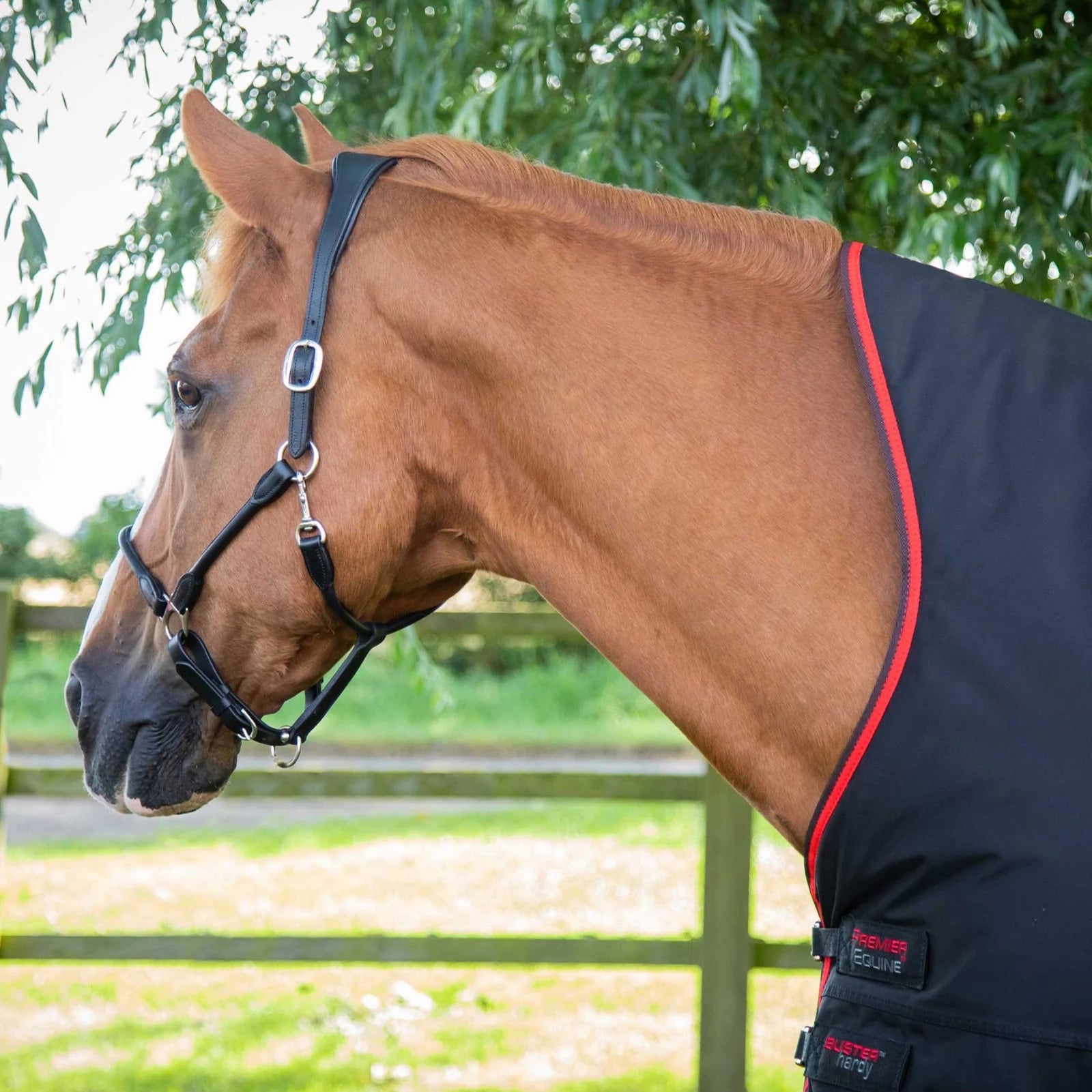 Premier Equine Buster Hardy 400g Half Neck Turnout Rug Black