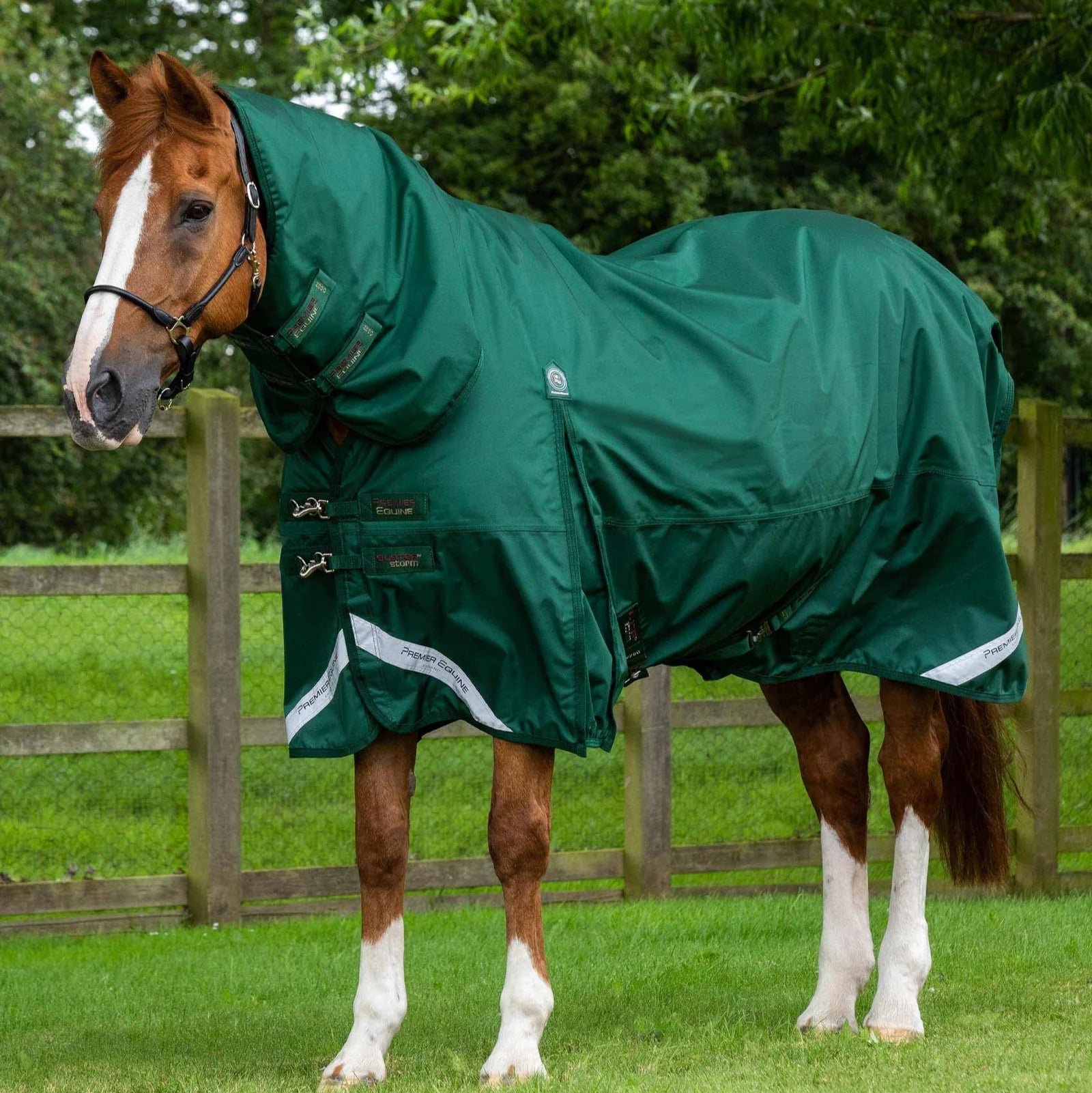 Premier Equine Buster Storm 220g Combo Turnout Rug with Classic Neck Green