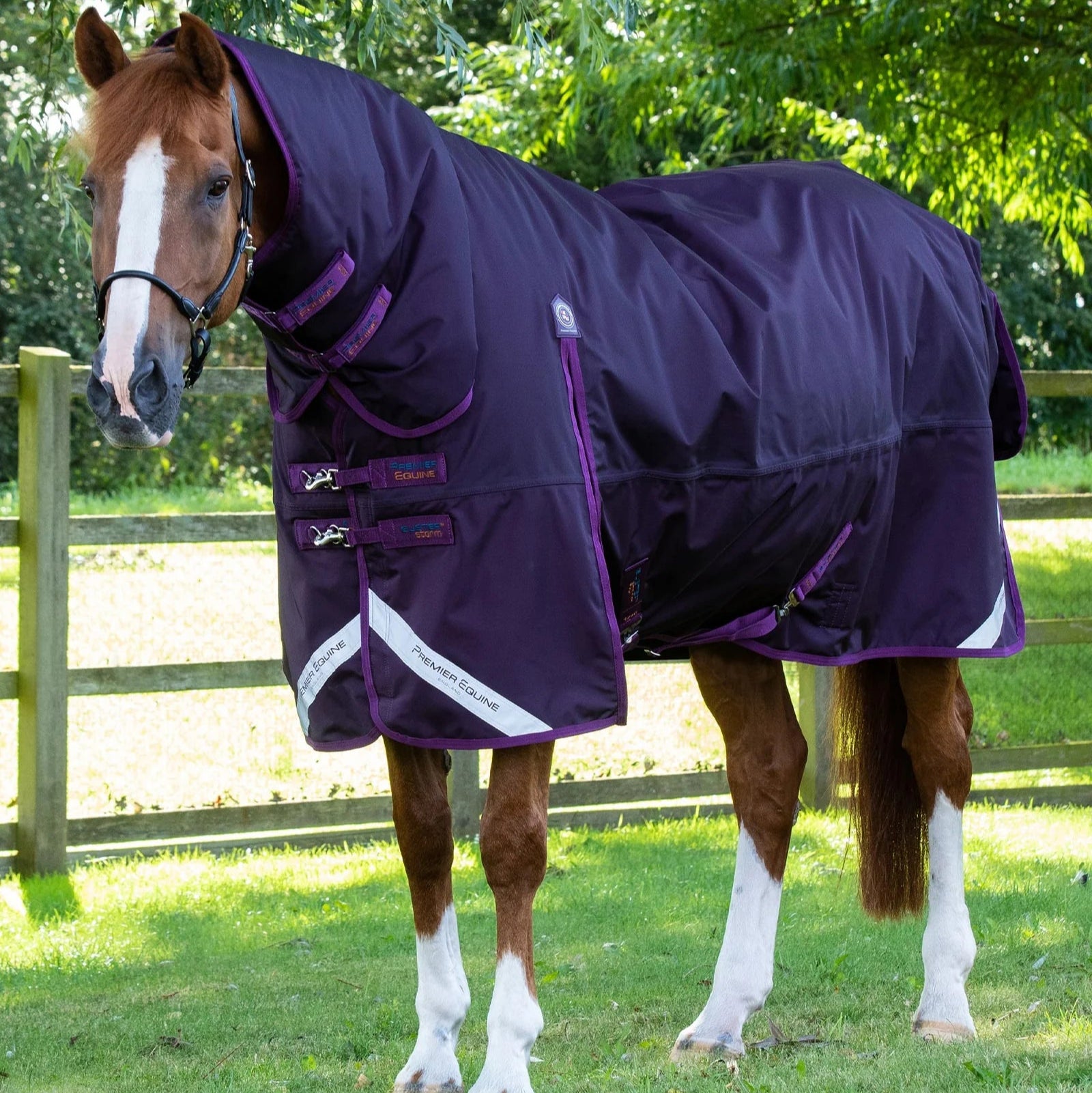 Horse wearing Premier Equine Buster Storm 420g Heavyweight Turnout Rug with Classic Neck Purple - Durable and Waterproof equestrian wear
