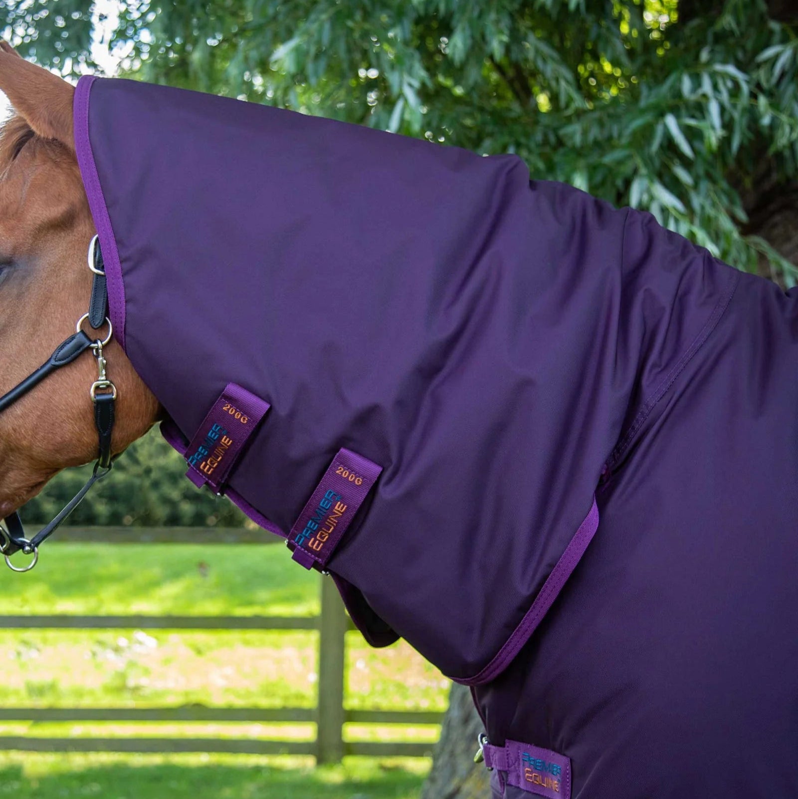 Purple Horse Turnout Rug - Heavyweight Combo Neck Cover by Premier Equine - Waterproof Protection for Horses