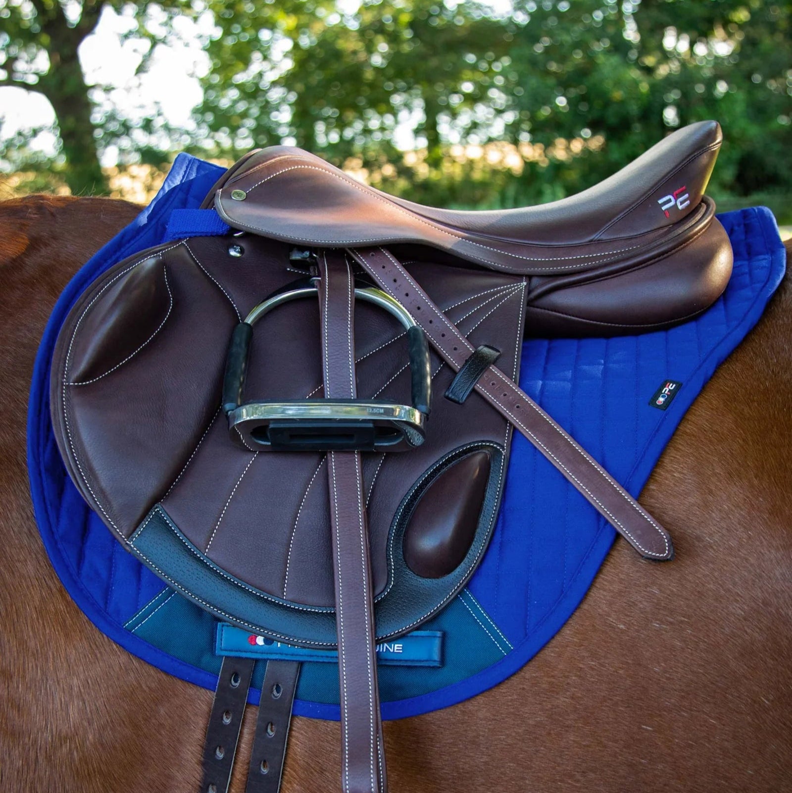 Premier Equine Close Contact Cross Country Horse Saddle on Royal Blue Saddle Pad by Equiflair