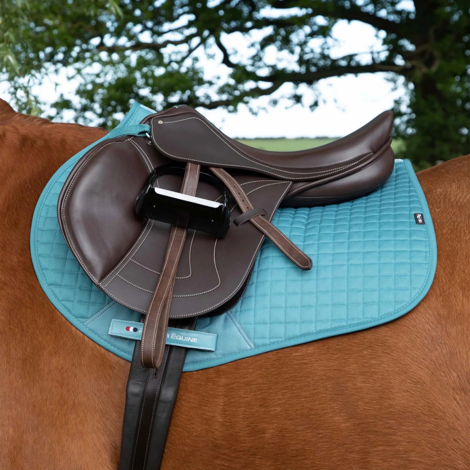 Premier Equine Close Contact Turquoise Saddle Pad - GP/Jump Cotton Equestrian Tack