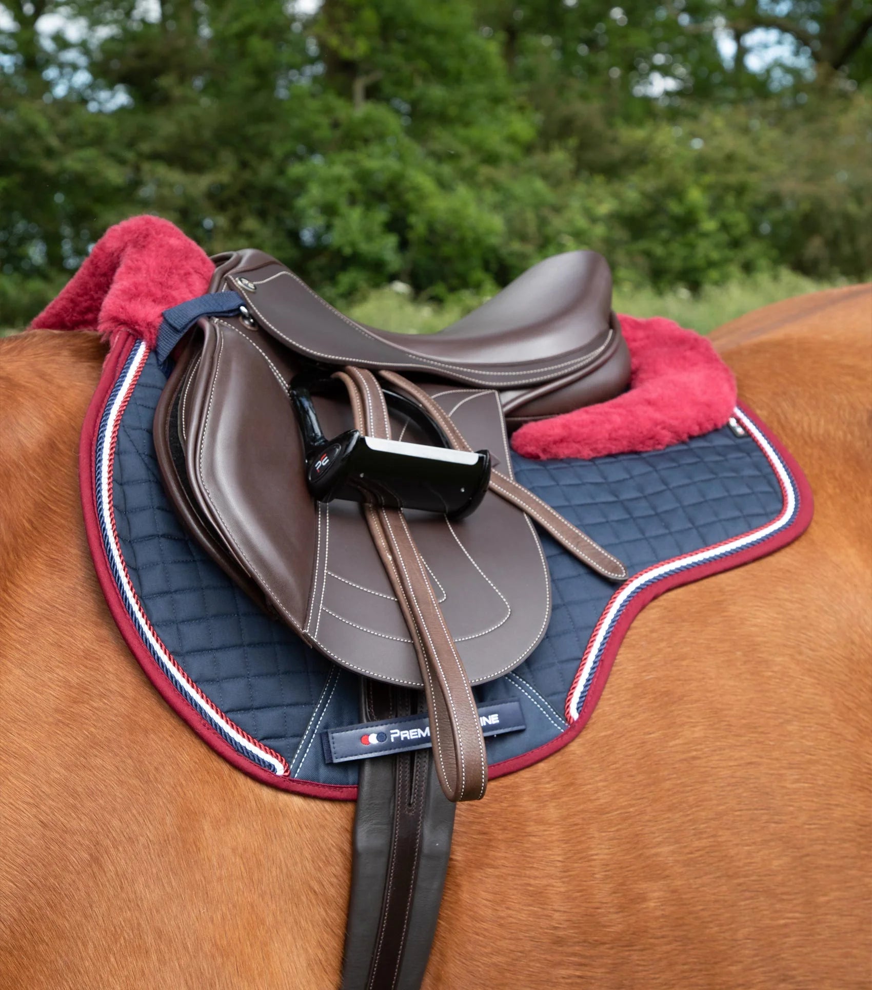 PREMIER EQUINE Merino Wool Saddle Pad GP/Jump Square Navy/Burgundy on Horse