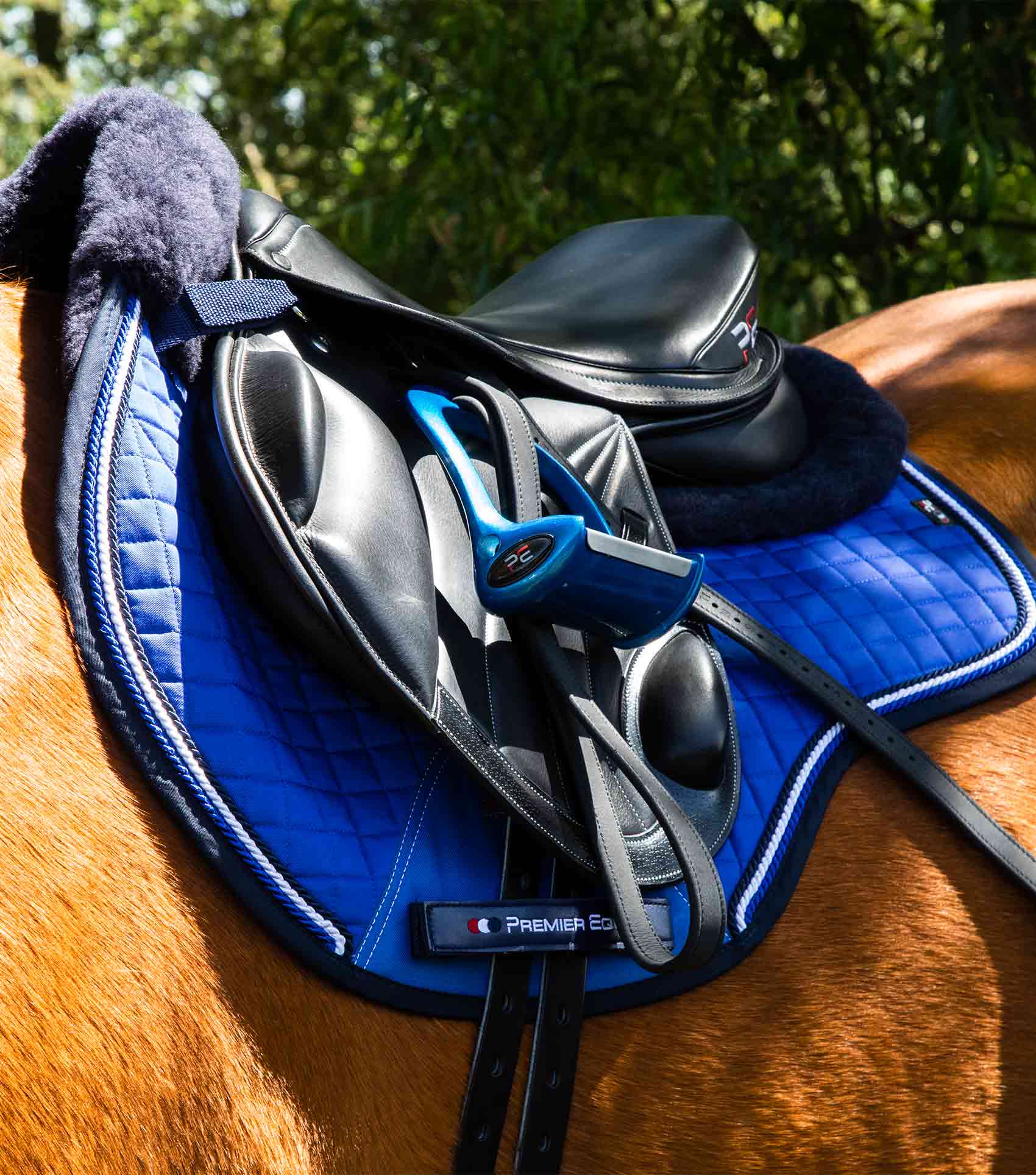 PREMIER EQUINE Merino Wool GP/Jump Saddle Pad - Royal Blue/Navy. Close contact saddle pad.