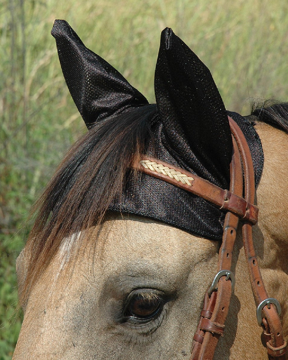 Cashel Comfort Ears