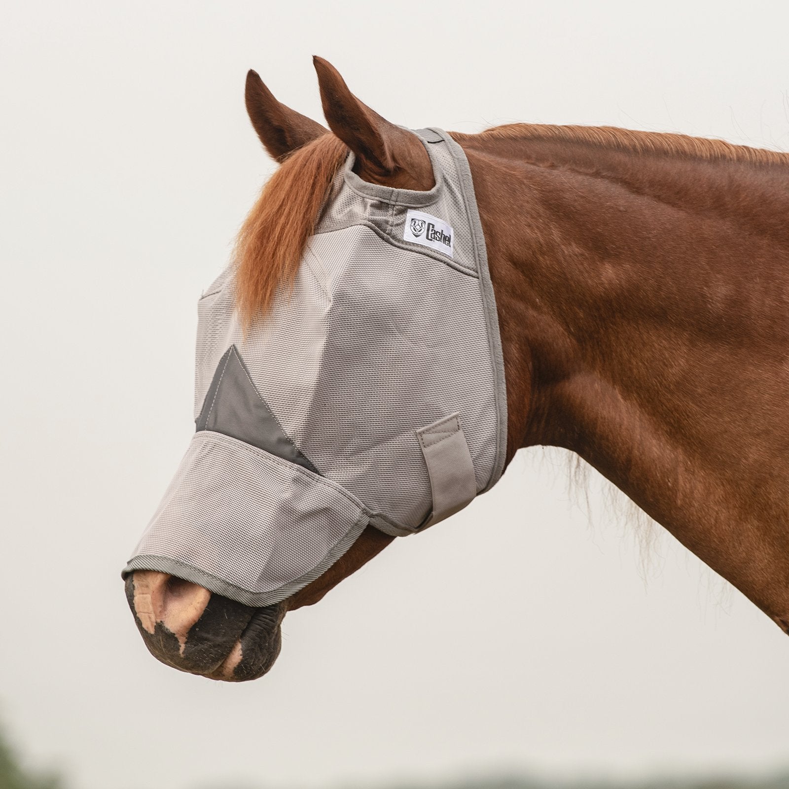 Cashel Crusader Fly Mask Long