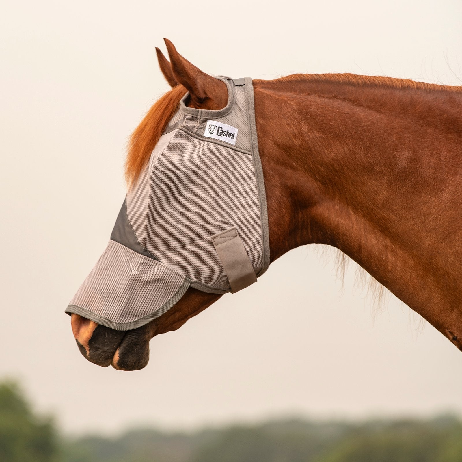 Cashel Crusader Fly Mask Long