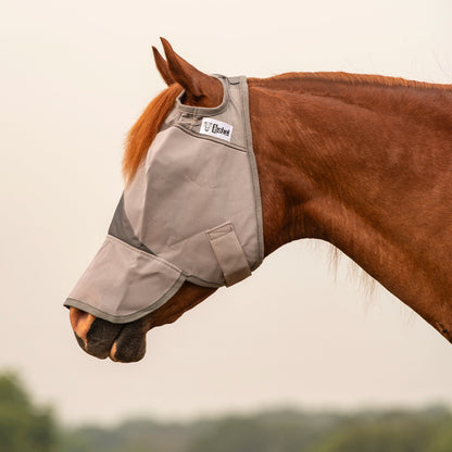 Horse wearing Cashel Crusader fly mask long nose Arabian style. Fly protection, UV protection. 