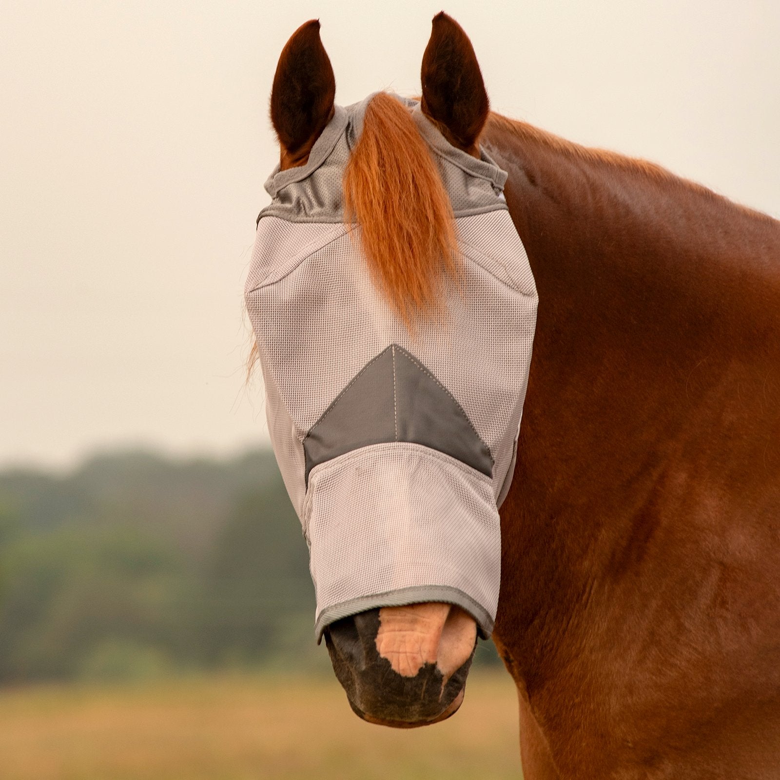 Cashel Crusader Fly Mask Long