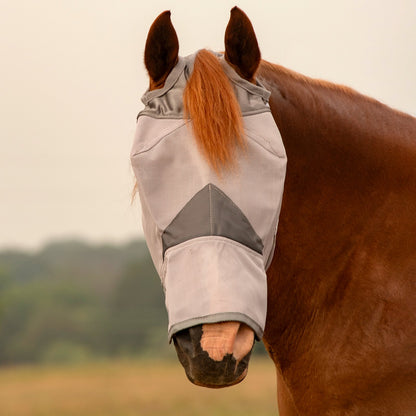 Brown horse wearing a Cashel Crusader fly mask long nose, protecting from flies.