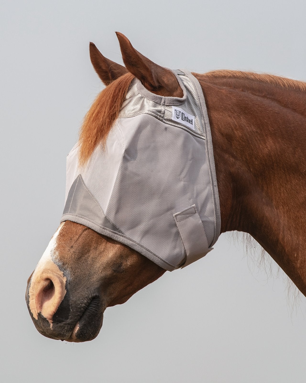 Cashel Crusader Fly Mask Standard