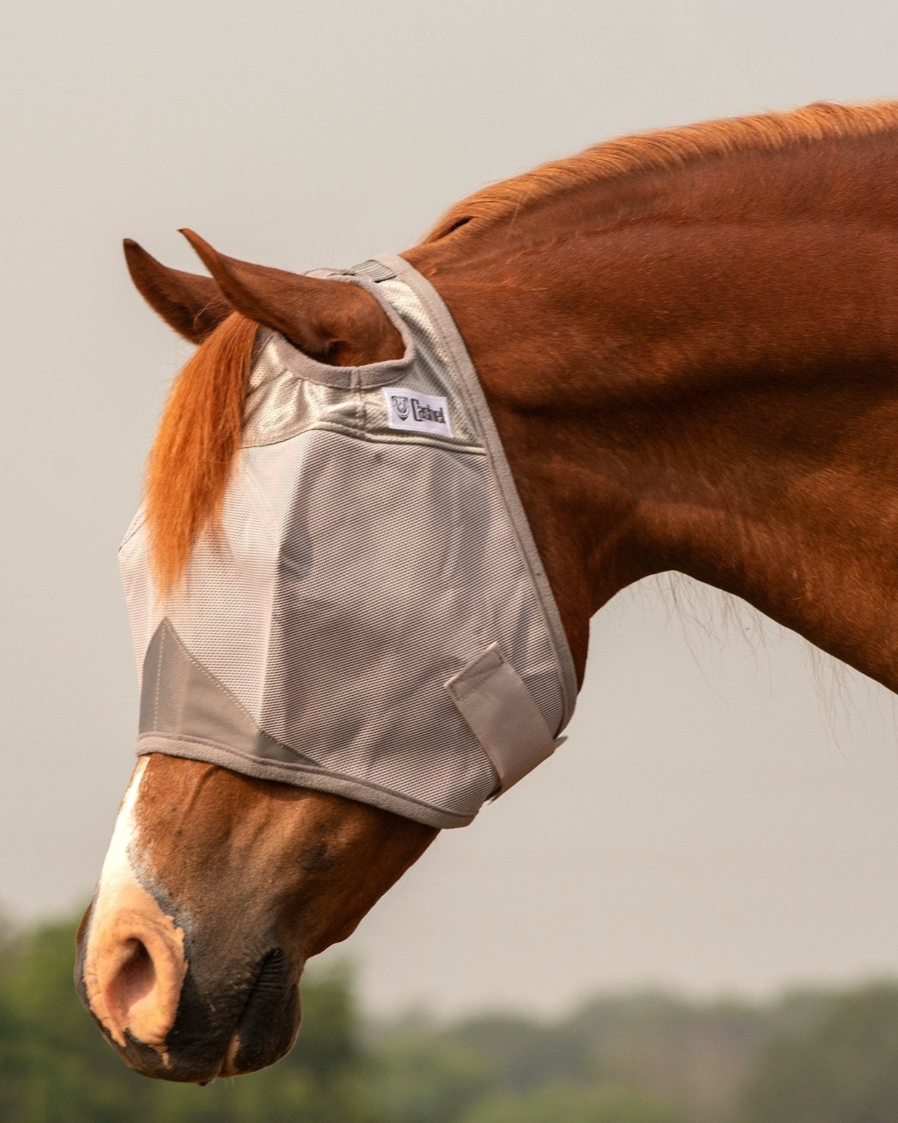 Cashel Crusader Fly Mask Standard