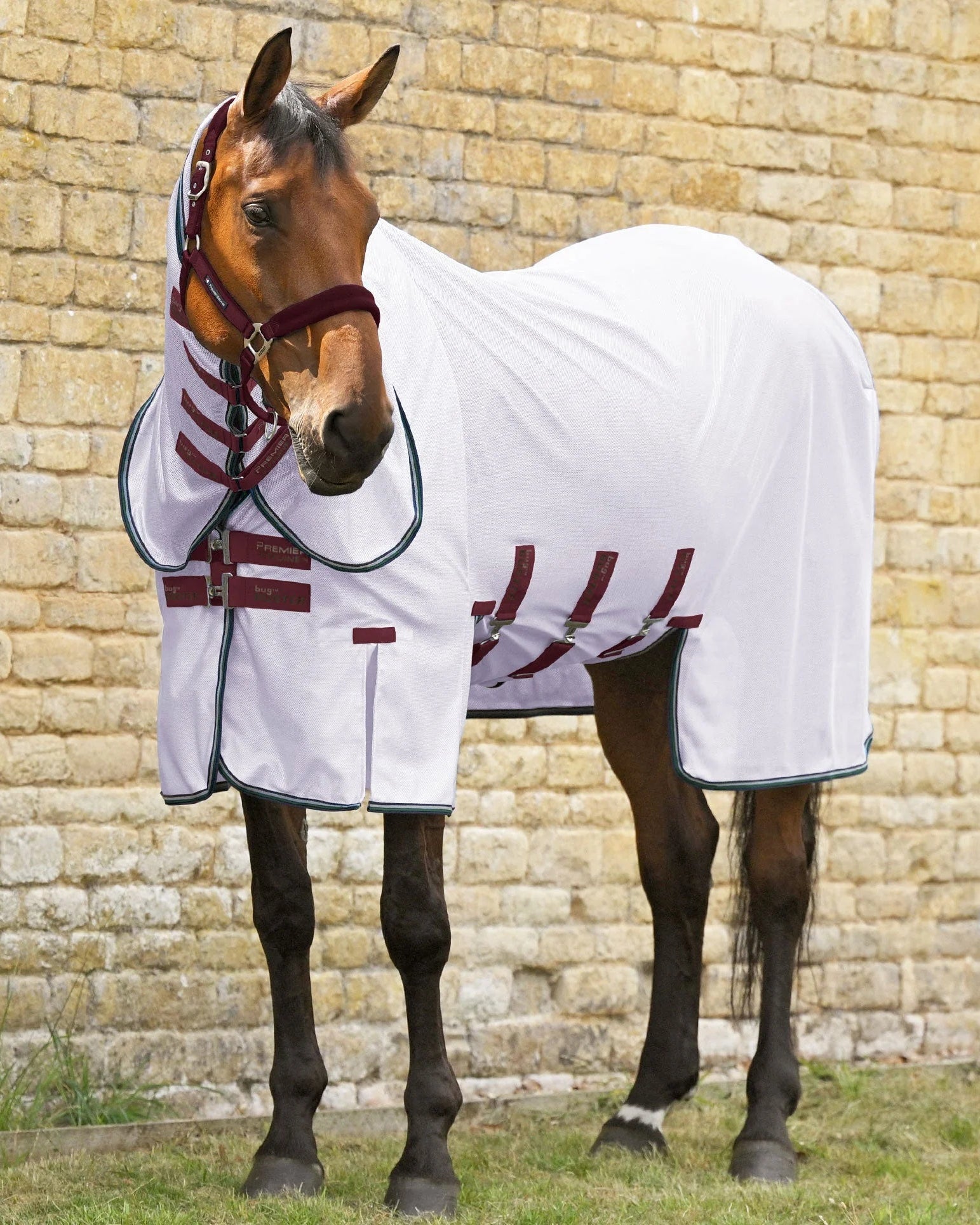 Premier Equine Combo Bug Buster Fly Rug with Belly Flap Lavender - Fly Protection Horse 5'0"