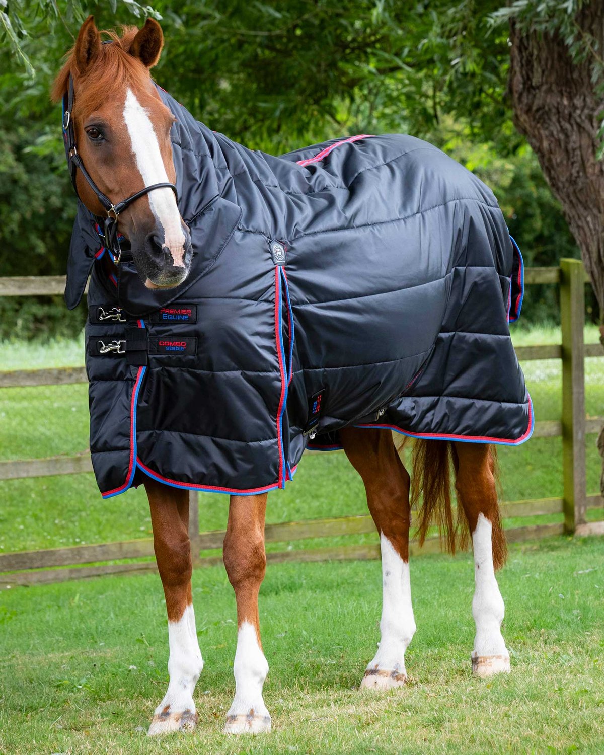 Horse wearing Premier Equine black combo stable rug 200g. Medium weight stable blanket for horses.
