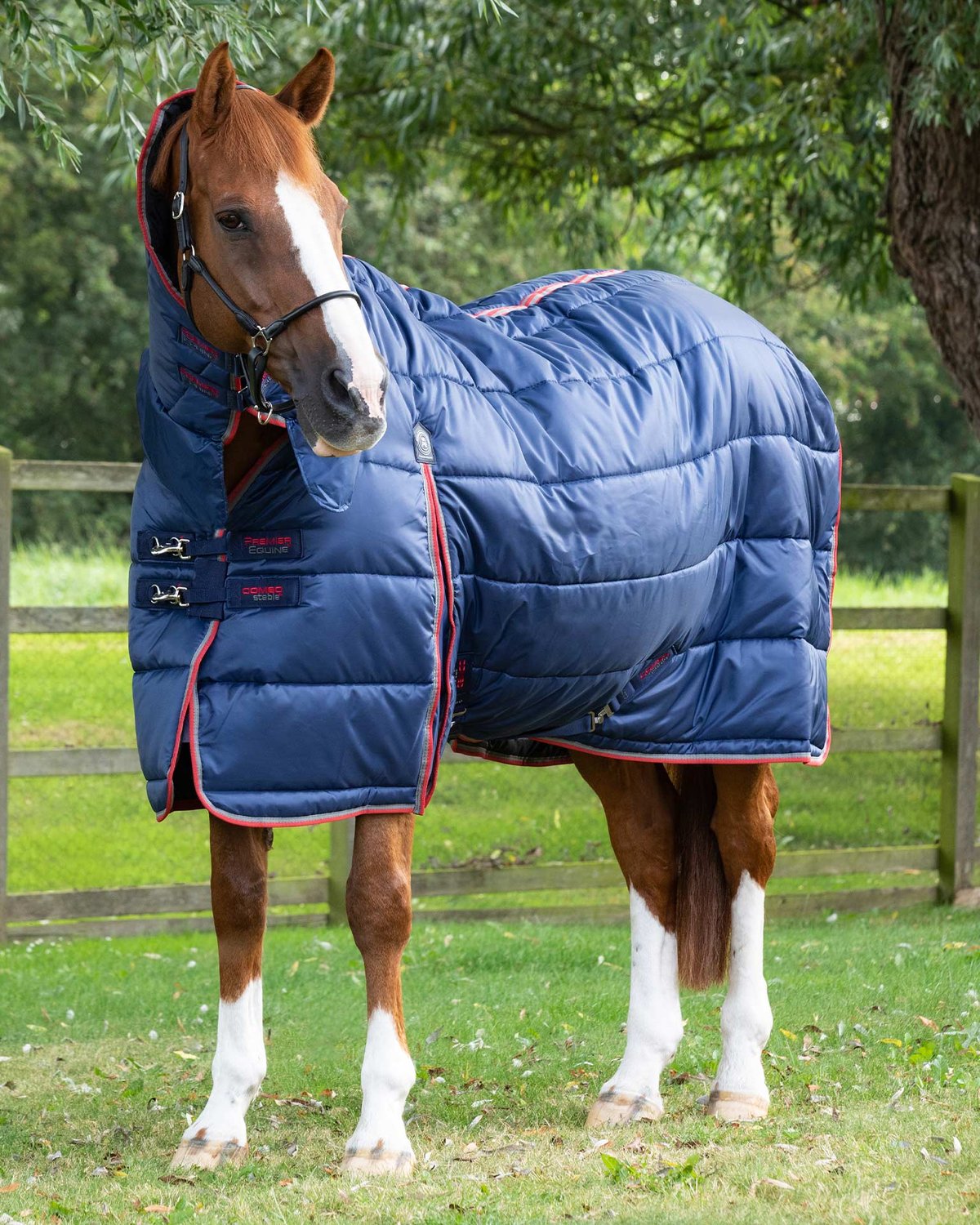 Chestnut Horse in Premier Equine Combo Stable Rug 400g Navy - Heavyweight Horse Rug for Stable