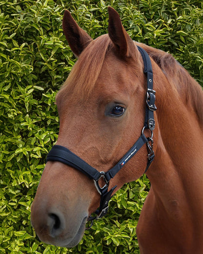 Premier Equine Corda Padded Head Collar with Lead Rope Black