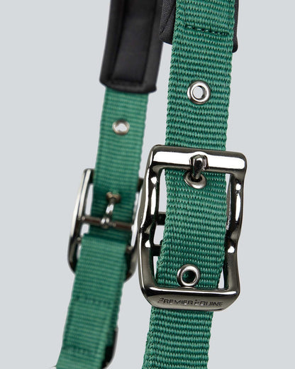 Premier Equine Corda Padded Head Collar with Lead Rope Green