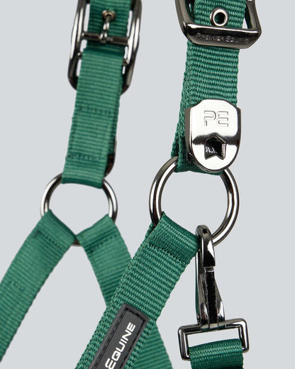 Premier Equine Corda Padded Head Collar with Lead Rope Green