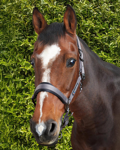 Premier Equine Corda Padded Head Collar with Lead Rope Grey