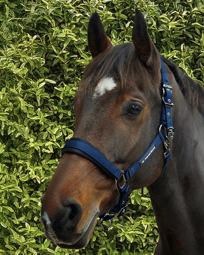 Premier Equine Corda Padded Head Collar with Lead Rope Navy