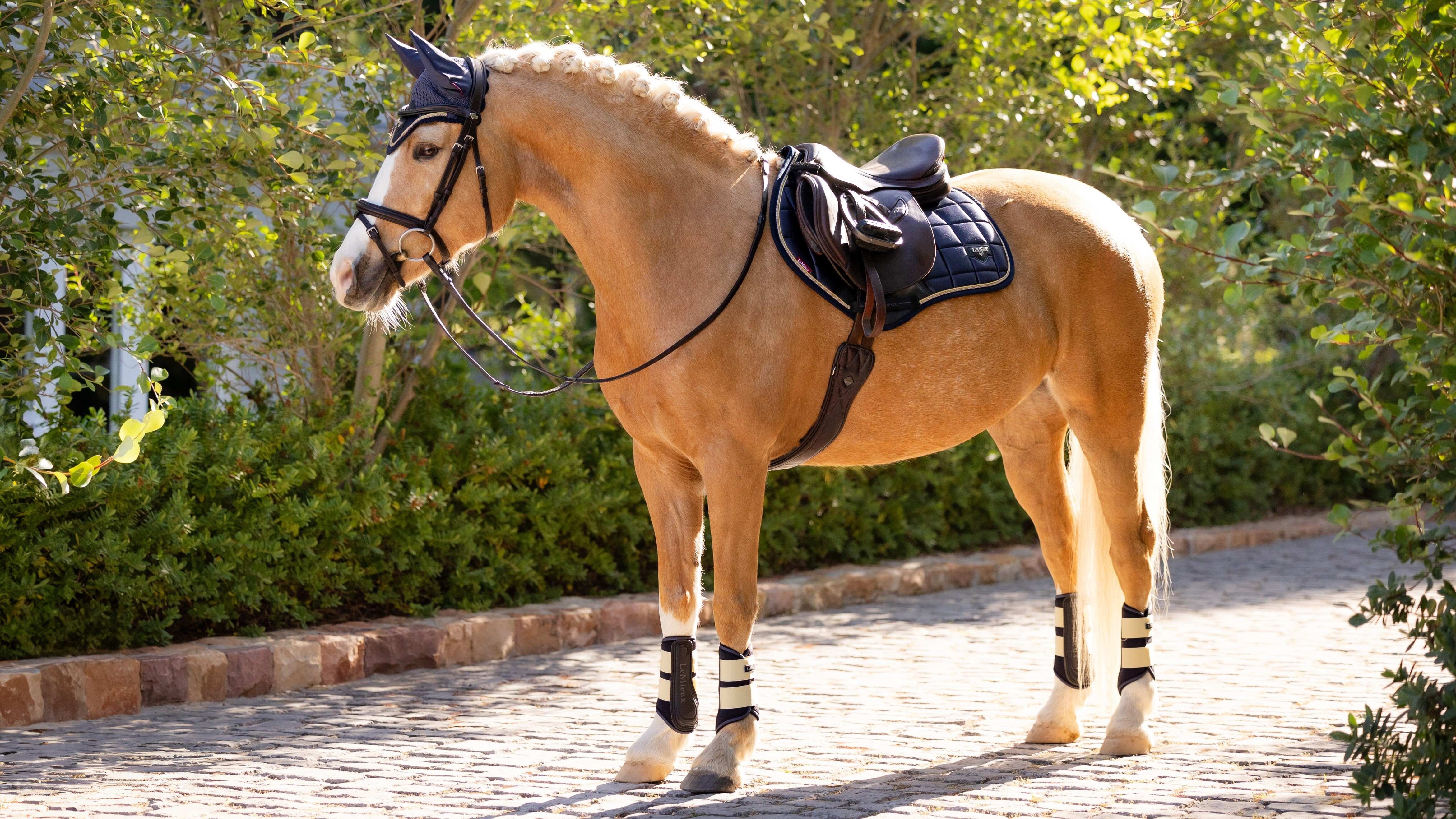 LeMieux Loire Classic Close Contact Square Dusk