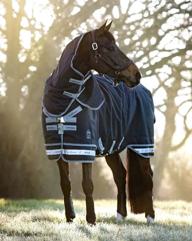 LeMieux Arika Storm-Tek Rug 350g Navy