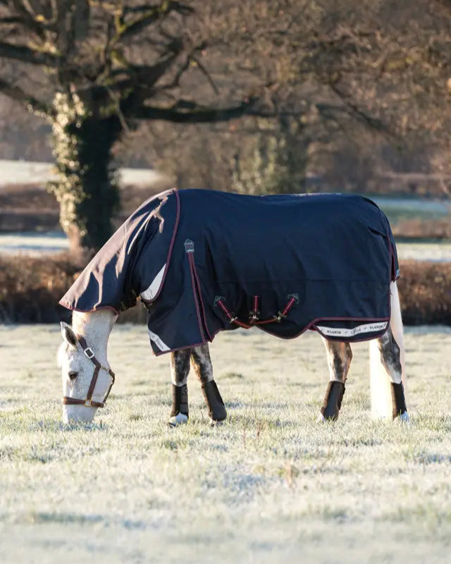 LeMieux Kudos Turnout Rug on Horse: 100g Navy Waterproof Blanket, Detachable Neck, Equiflair