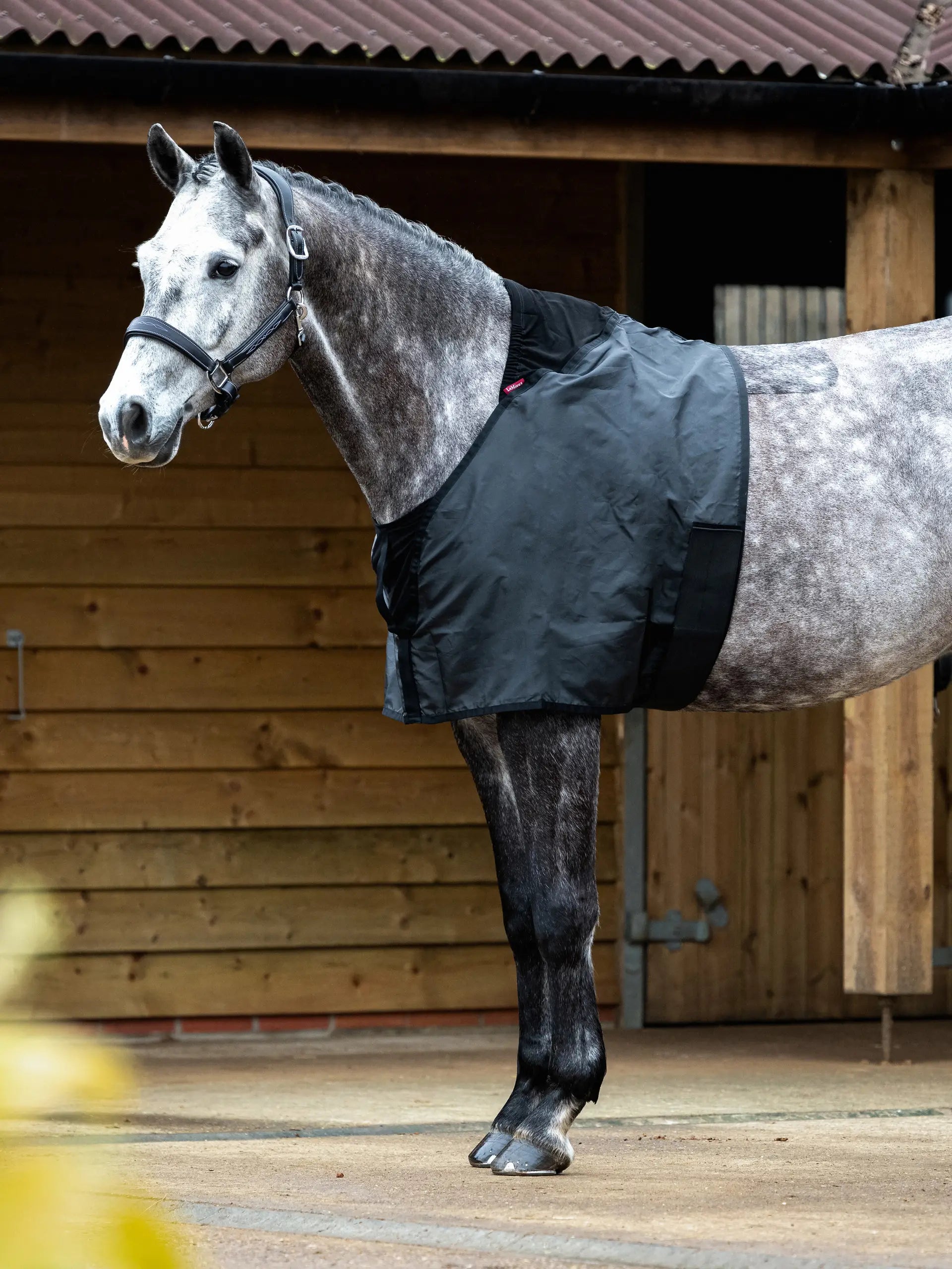Grey horse wearing a LEMIEUX Anti-Rub Bib (Black) from Equiflair. Comfort and protection for horses under rugs.