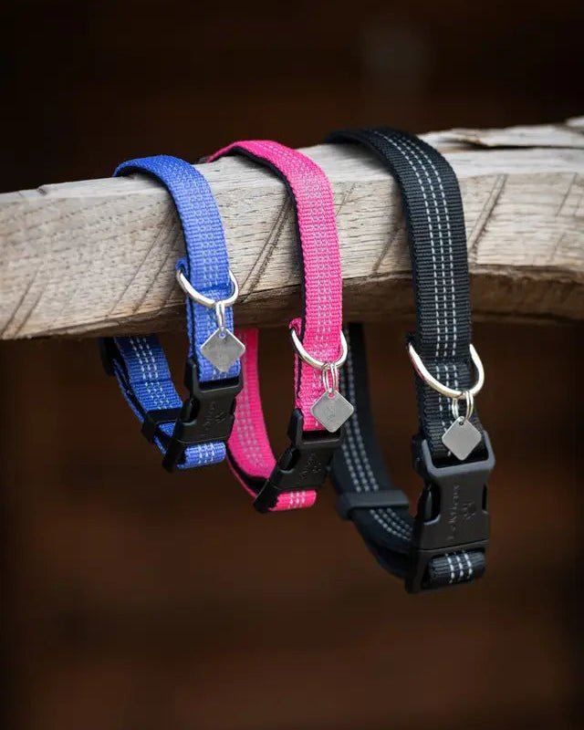 LeMieux Henley Dog Collar Black | Equiflair