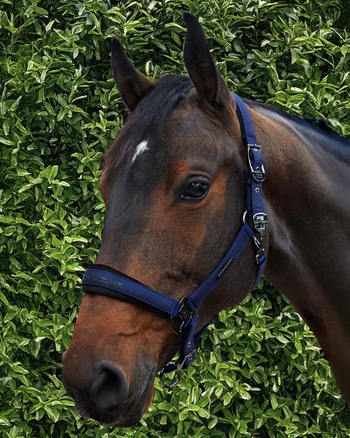 Premier Equine Duco Padded Head Collar with Lead Rope Navy