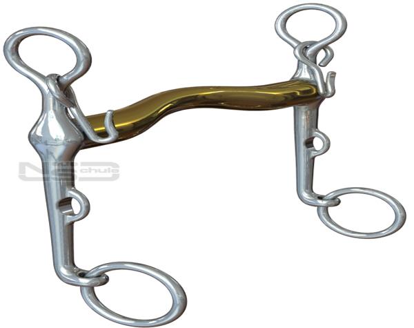 Neue Schule Aachen Weymouth Horse Bit - Double Bridle for Collection & Comfort | Equiflair