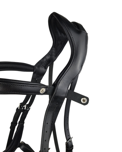 Ecorider Freedom Comfort Bridle