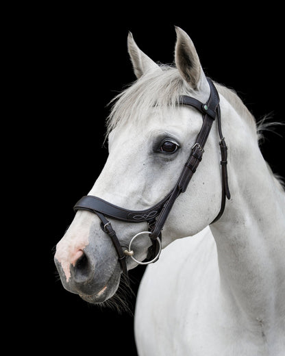Ecorider Freedom Comfort Bridle