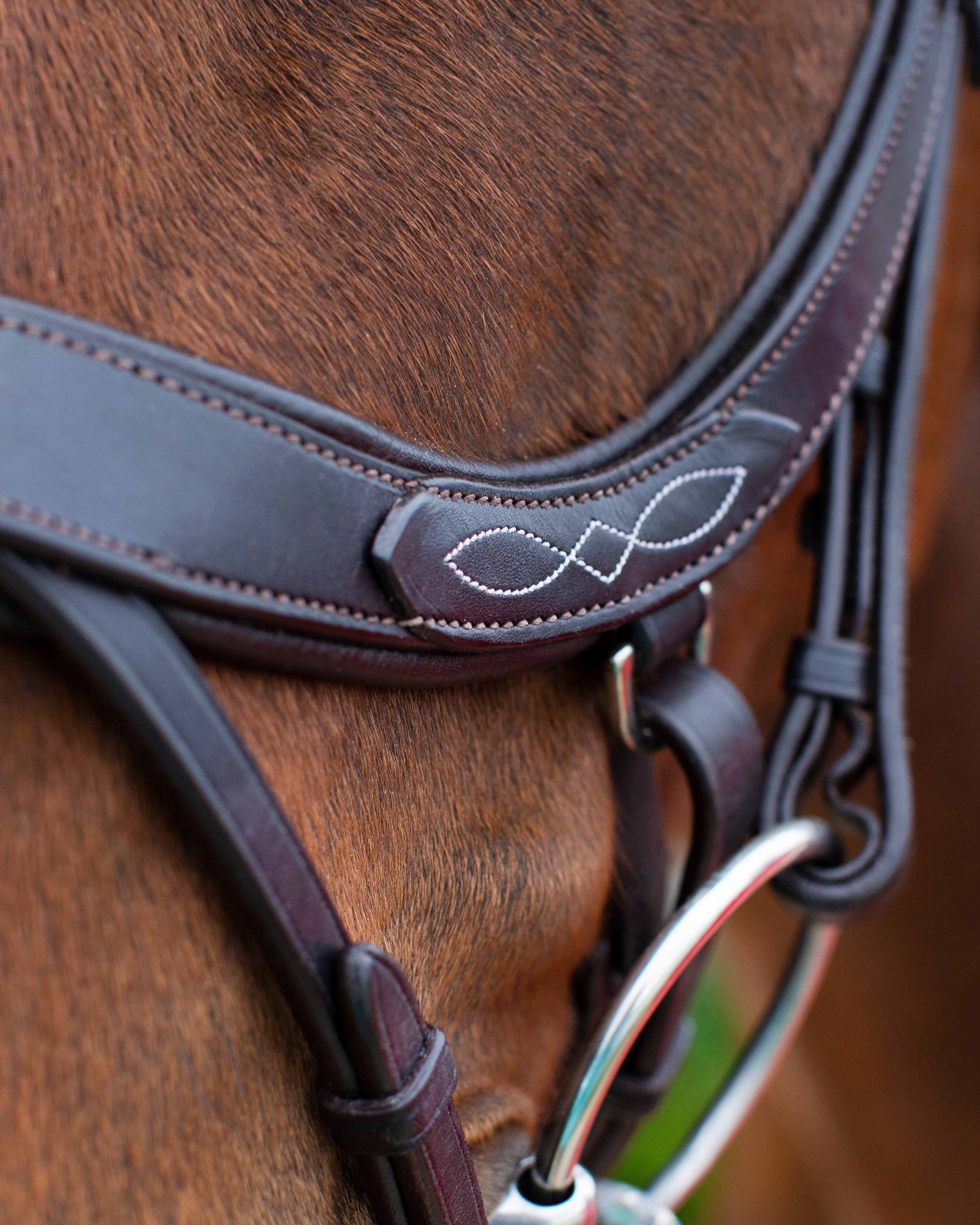 Ecorider Freedom Comfort Bridle