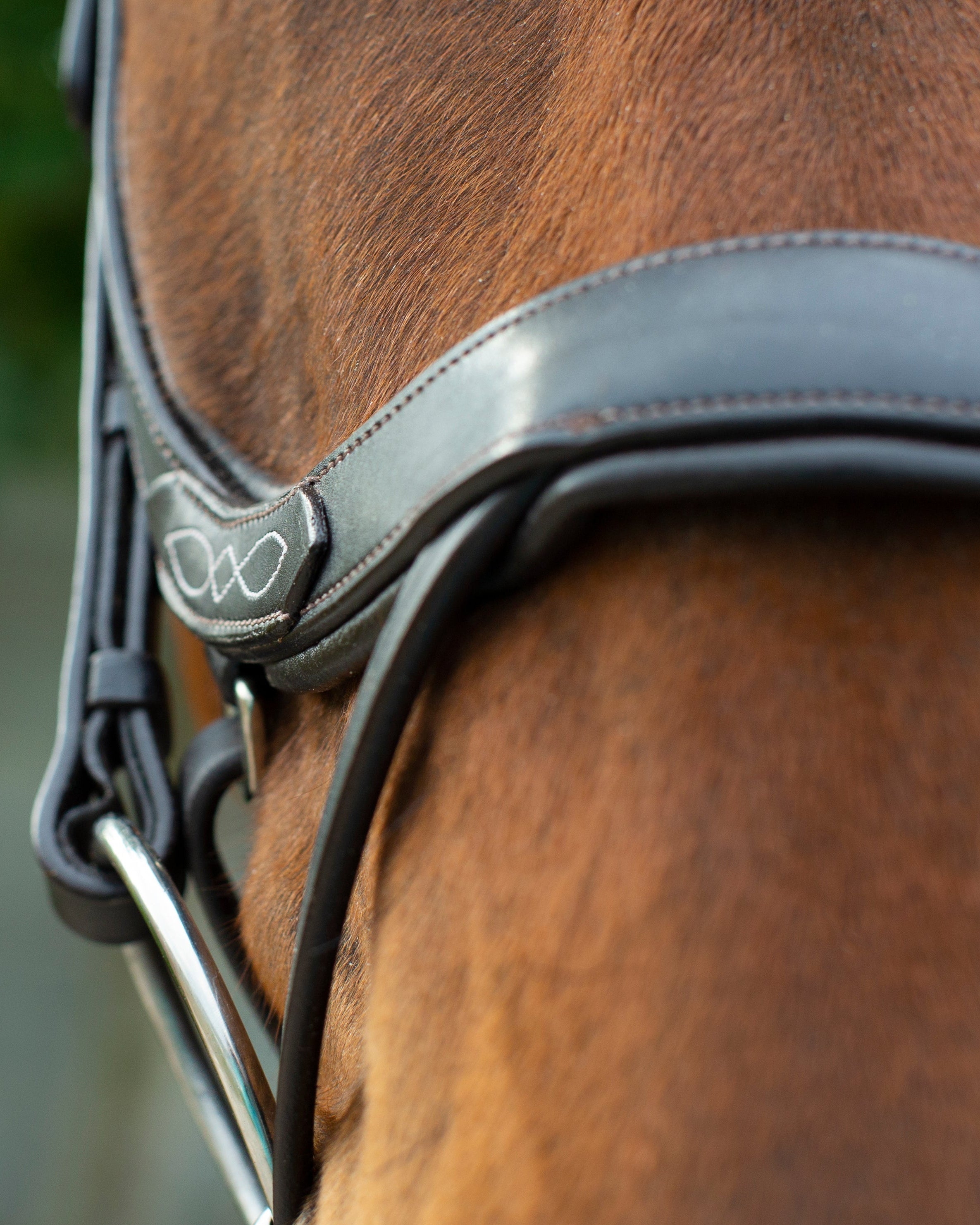 Ecorider Freedom Comfort Bridle