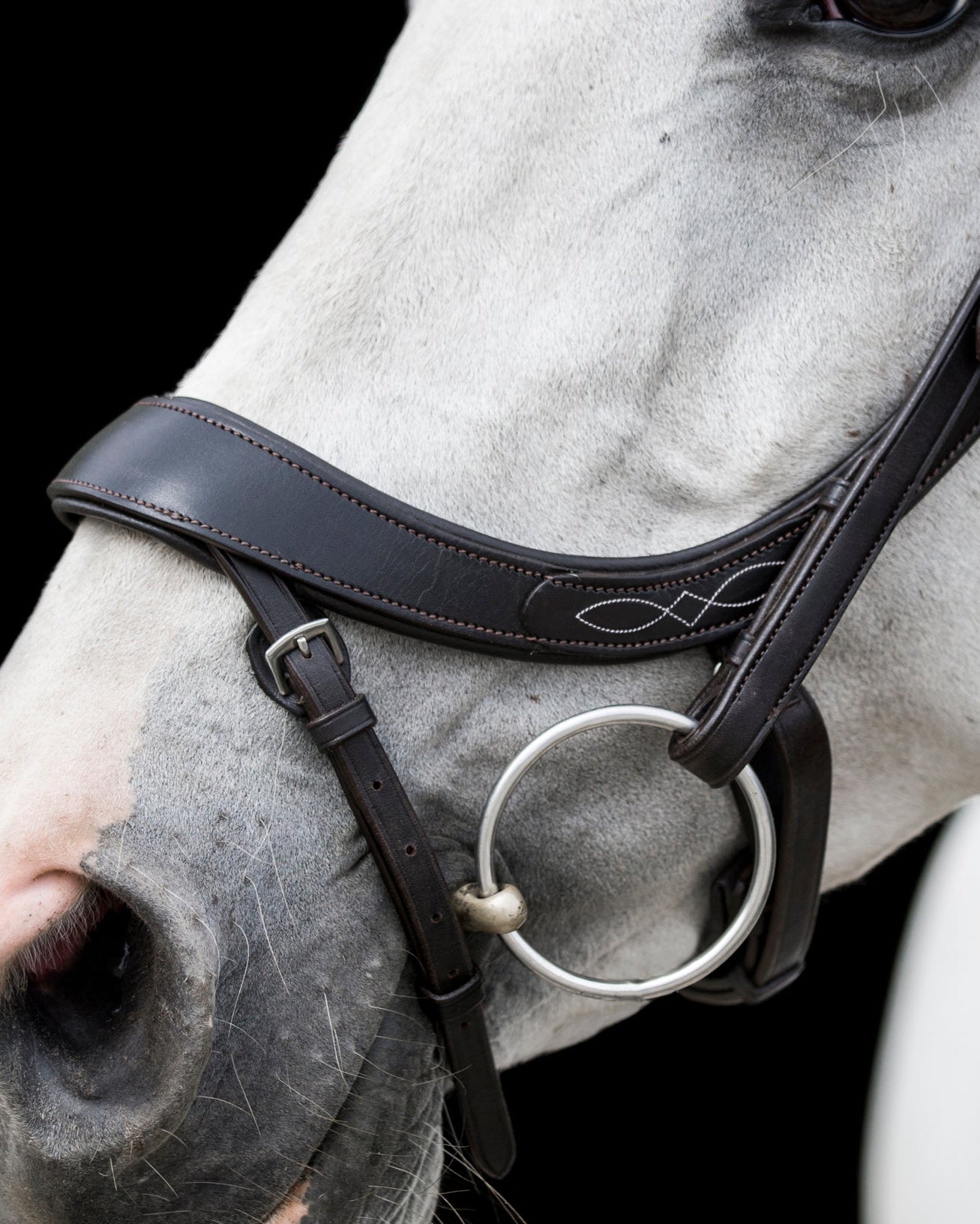 Ecorider Freedom Comfort Bridle
