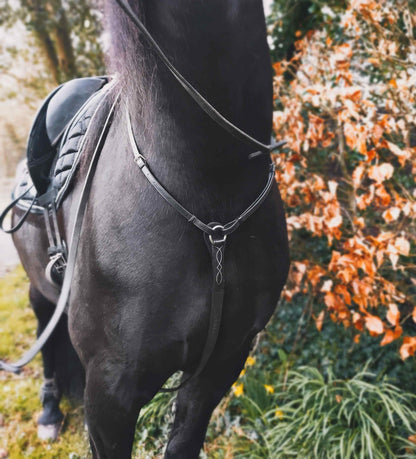 Black Horse with EcoLeather Breastplate | Equestrian Tack by Equiflair | Secure and Comfortable Riding
