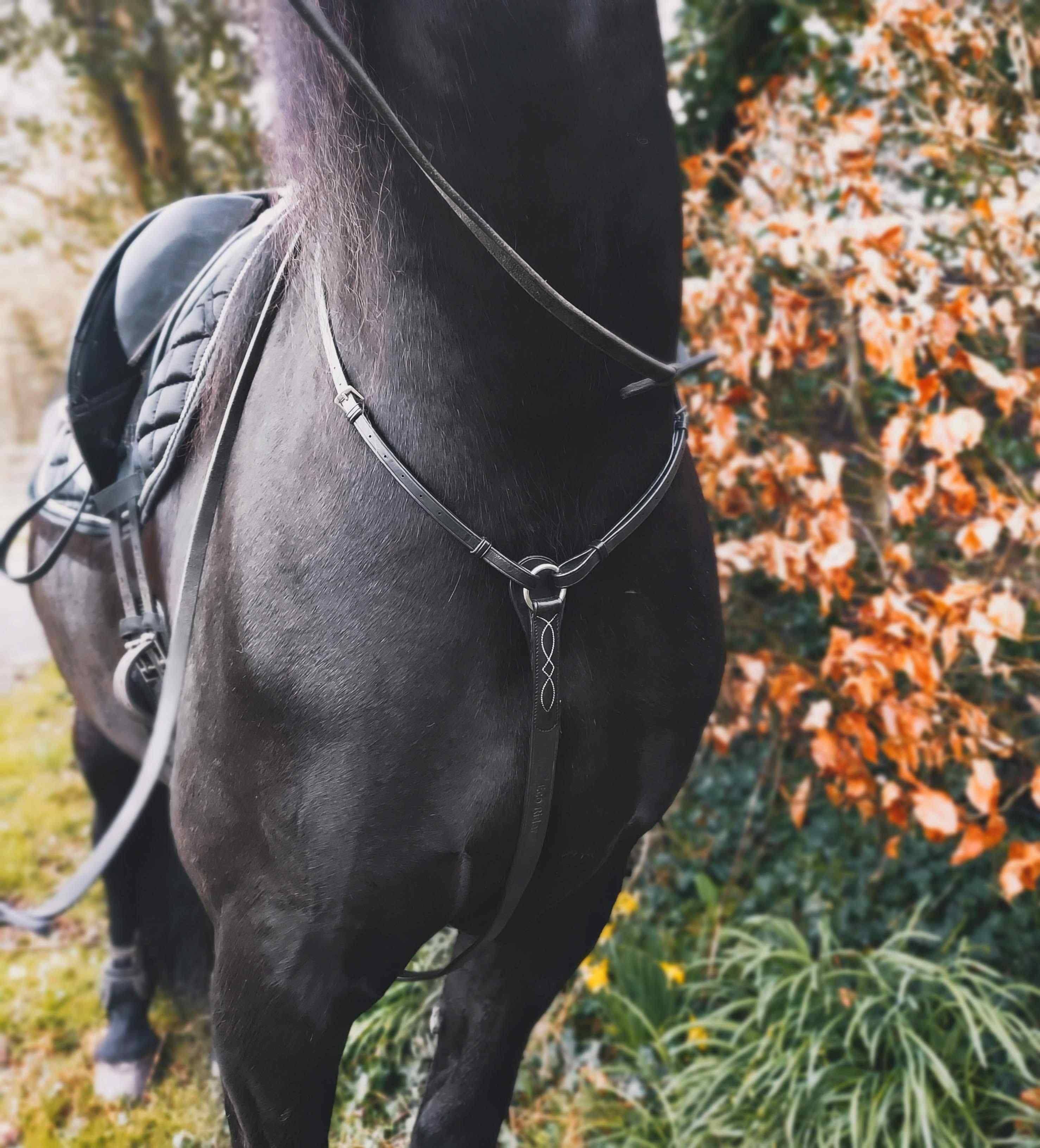 Black Horse with EcoRider Hunt Breastplate: Eco-Friendly Saddle Support and Style