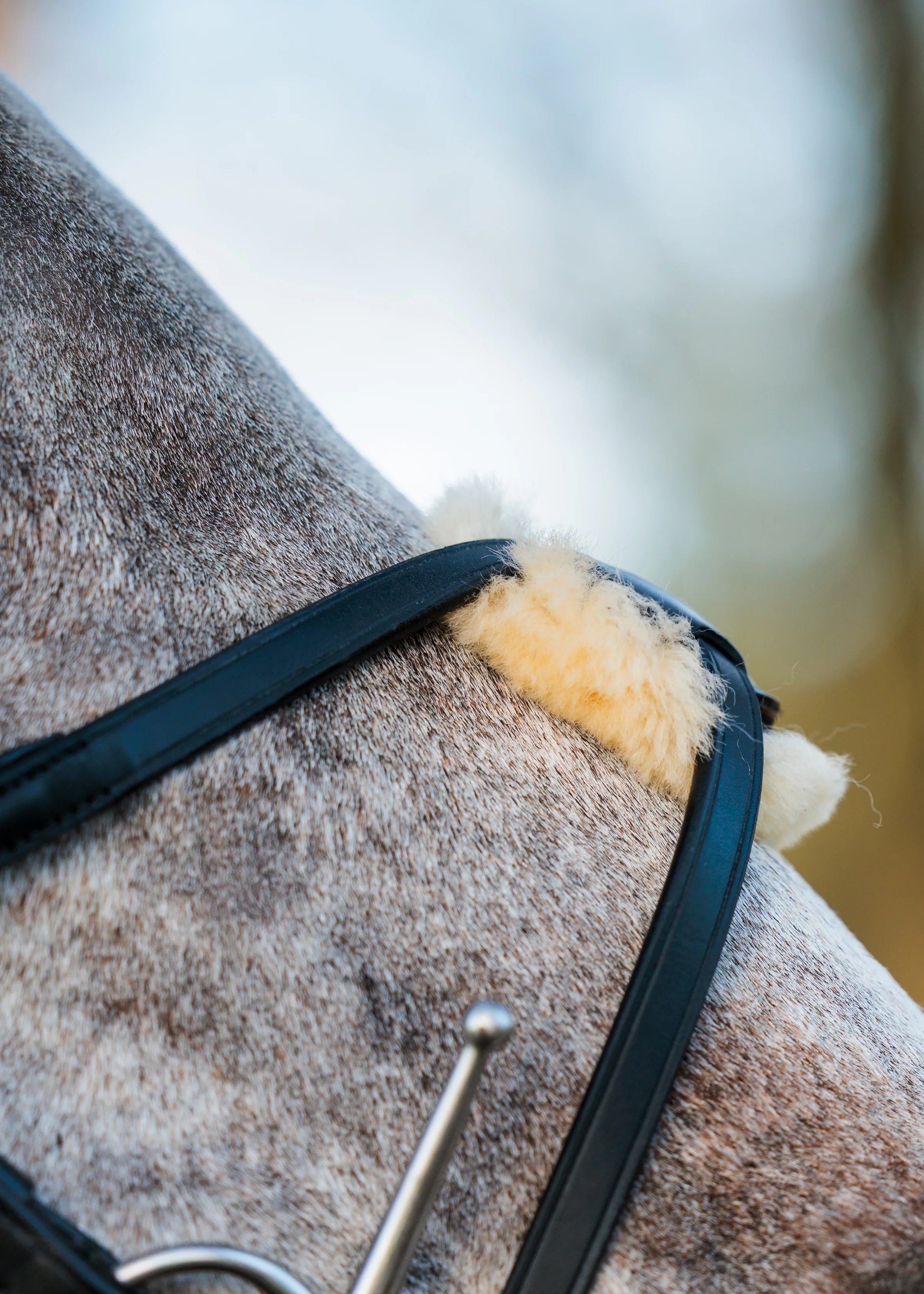 EcoRider SeamFree Grackle Bridle Brown | Equiflair