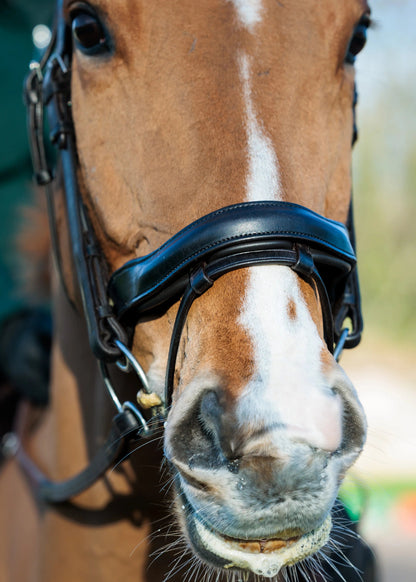 Ecorider SeamFree Comfort Bridle Brown | Equiflair