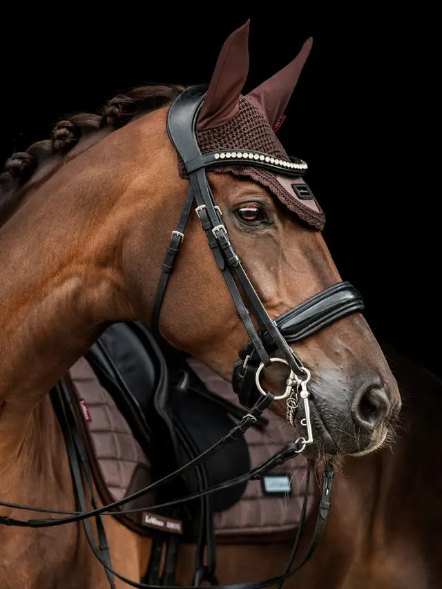 LE MIEUX RHONE FLY HOOD ESPRESSO: Brown Horse with Fly Mask. Stylish Equestrian Apparel by Equiflair.