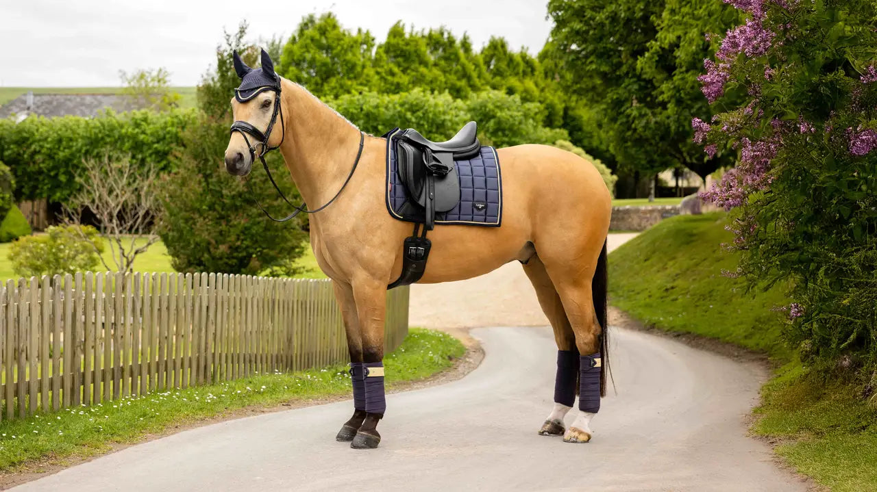 LeMieux Loire Classic Dressage Square Dusk Blue Saddle Pad on Horse - Stylish Equestrian Equipment