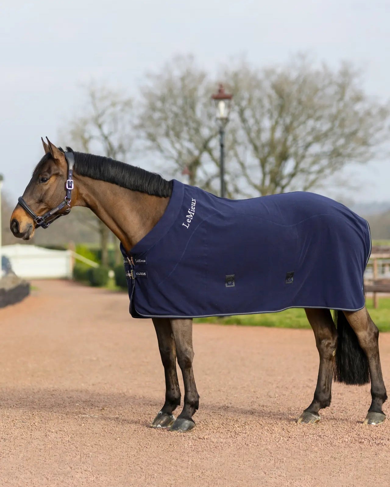 LeMieux Kudos Fleece Cooler Rug Navy